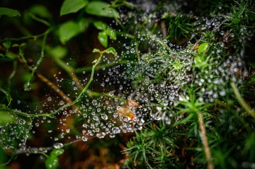 První předstartovní info